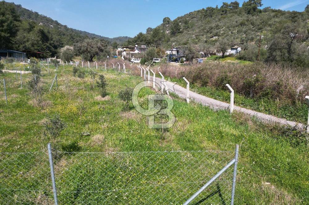 Menderes Ahmetbeyli Satılık Yanyana 2 Adet Kooperatif Bahçesi