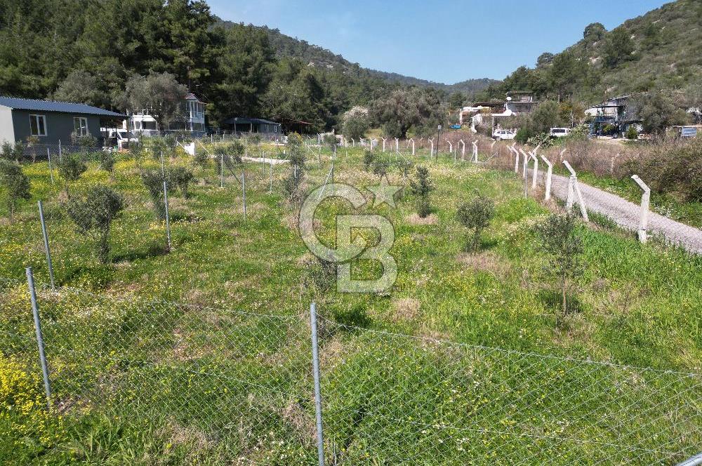 Menderes Ahmetbeyli Satılık Yanyana 2 Adet Kooperatif Bahçesi