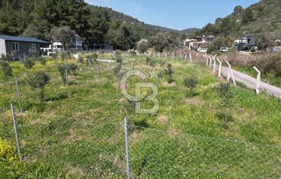 Menderes Ahmetbeyli Satılık Yanyana 2 Adet Kooperatif Bahçesi