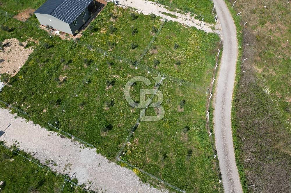 Menderes Ahmetbeyli Satılık Yanyana 2 Adet Kooperatif Bahçesi