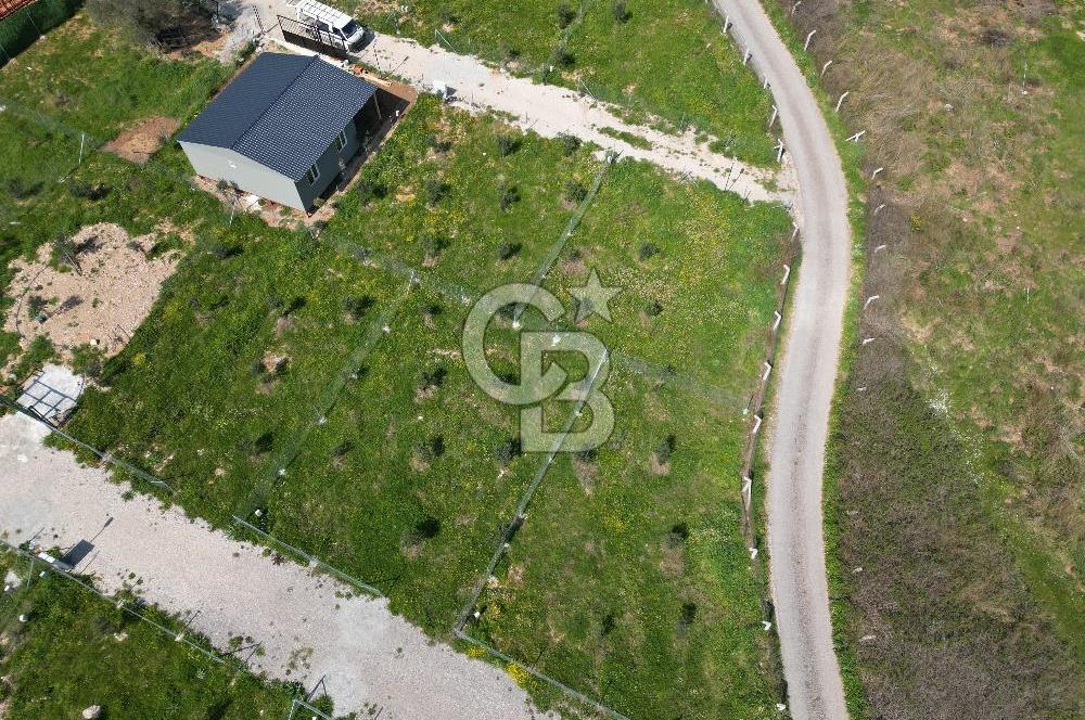 Menderes Ahmetbeyli Satılık Yanyana 2 Adet Kooperatif Bahçesi