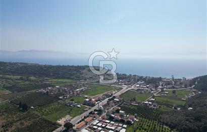 Menderes Ahmetbeyli Satılık Yanyana 2 Adet Kooperatif Bahçesi