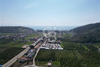 Menderes Ahmetbeyli Satılık Yanyana 2 Adet Kooperatif Bahçesi - 6 - 341150