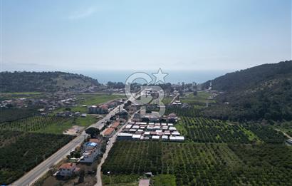 Menderes Ahmetbeyli Satılık Yanyana 2 Adet Kooperatif Bahçesi