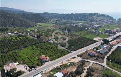 Menderes Ahmetbeyli Satılık Yanyana 2 Adet Kooperatif Bahçesi