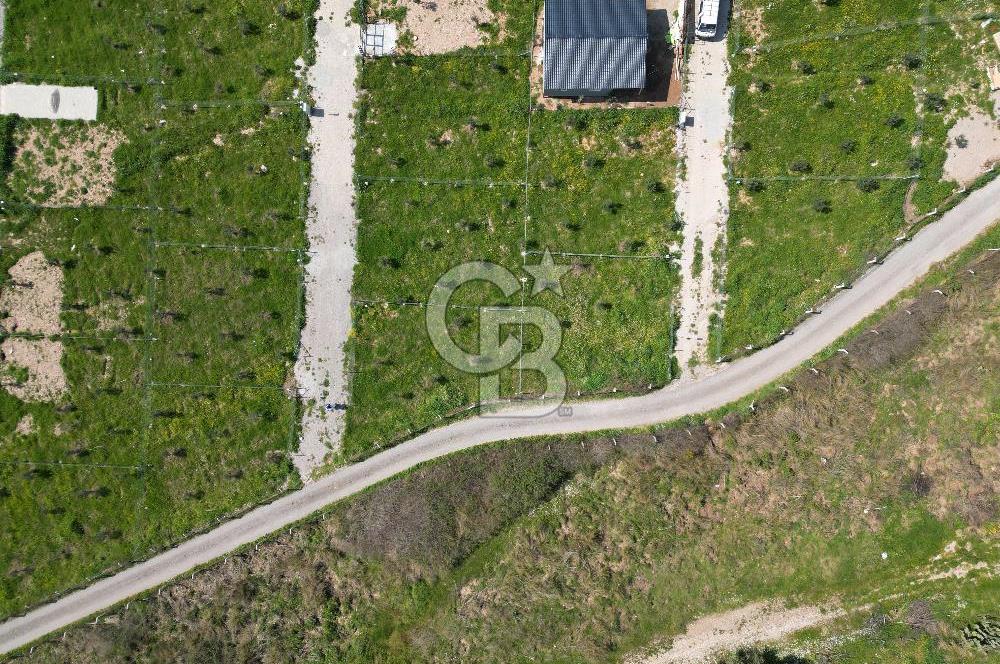 Menderes Ahmetbeyli Satılık Yanyana 2 Adet Kooperatif Bahçesi