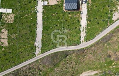 Menderes Ahmetbeyli Satılık Yanyana 2 Adet Kooperatif Bahçesi