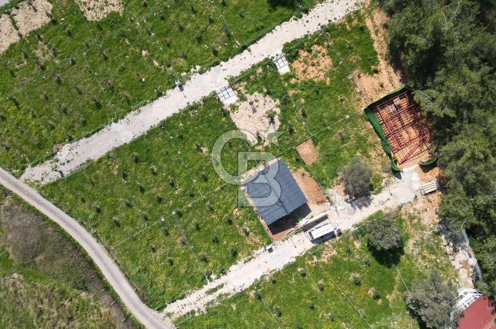 Menderes Ahmetbeyli Satılık Yanyana 2 Adet Kooperatif Bahçesi