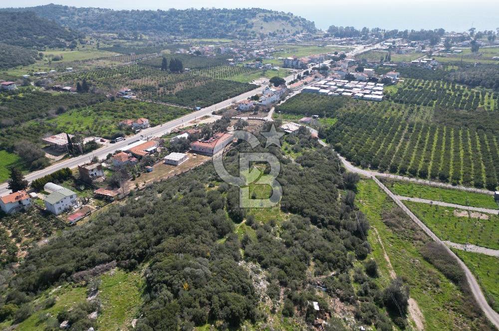 Menderes Ahmetbeyli Satılık Yanyana 2 Adet Kooperatif Bahçesi