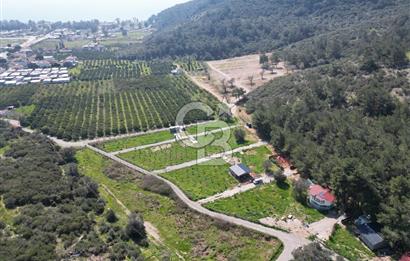 Menderes Ahmetbeyli Satılık Yanyana 2 Adet Kooperatif Bahçesi