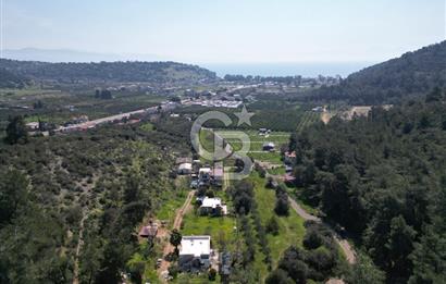 Menderes Ahmetbeyli Satılık Yanyana 2 Adet Kooperatif Bahçesi