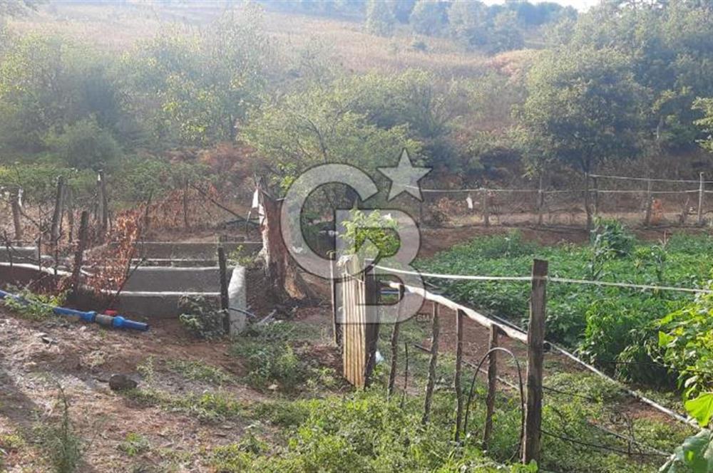 Çan Doğaca Satılık Bahçe