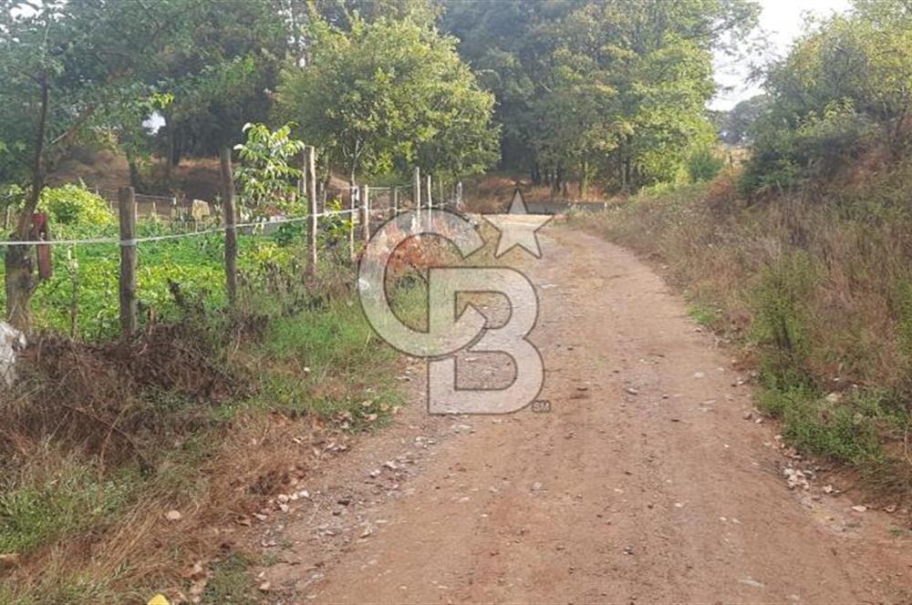 Çan Doğaca Satılık Bahçe