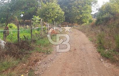 Çan Doğaca Satılık Bahçe