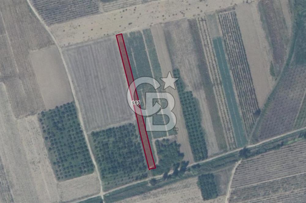 PAMUKOVA ÇARDAK’TA YATIRIMLIK 1.512 M² DÜZ ARAZİ