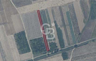 PAMUKOVA ÇARDAK’TA YATIRIMLIK 1.512 M² DÜZ ARAZİ