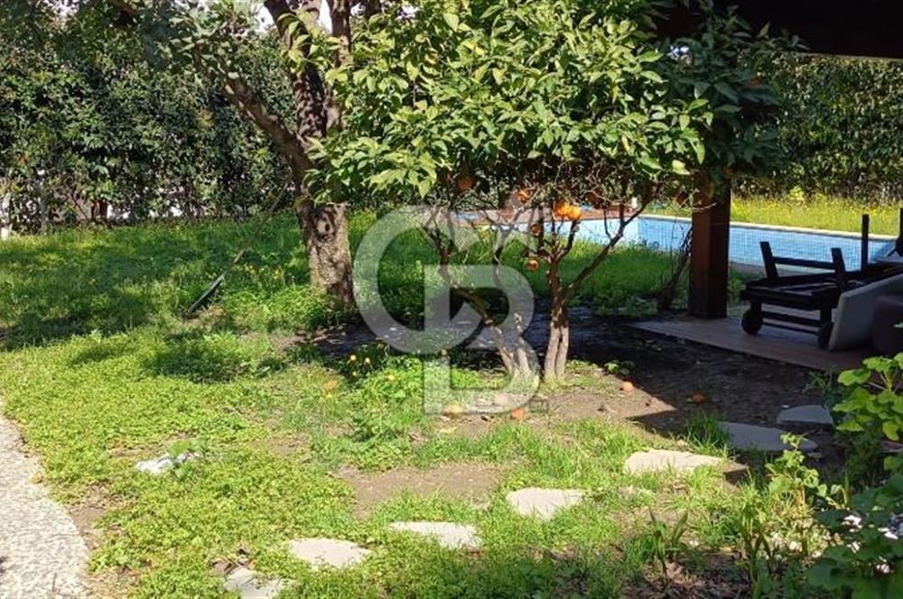 GÖLKÖY CENNET KOYU PLAJINA 500 metre MÜSTAKİL VİLLA KİRALIK