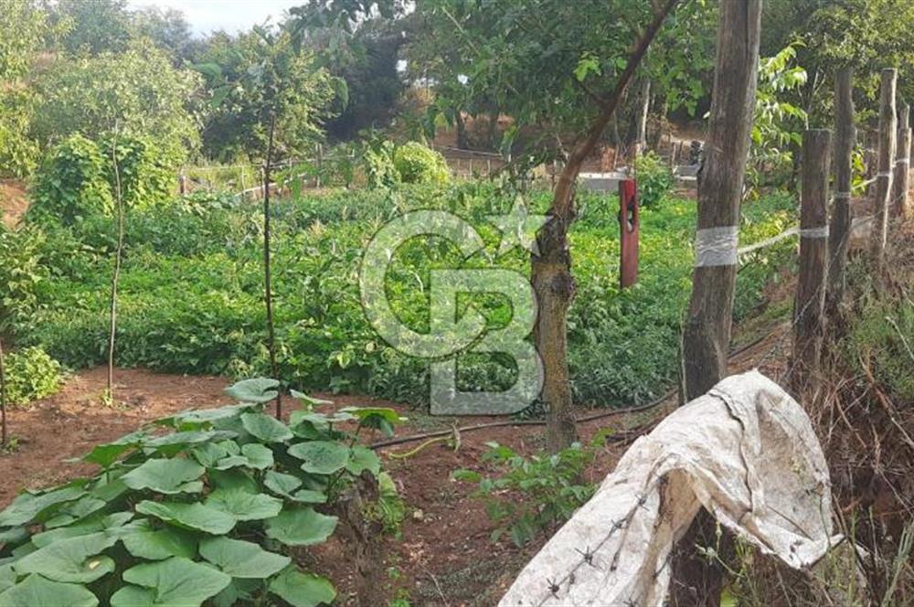 Çan Doğaca Satılık Bahçe