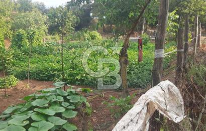 Çan Doğaca Satılık Bahçe