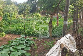 Çan Doğaca Satılık Bahçe - 1 - 341172