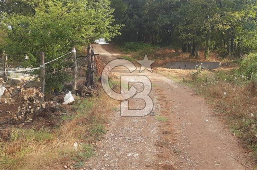 Çan Doğaca Satılık Bahçe