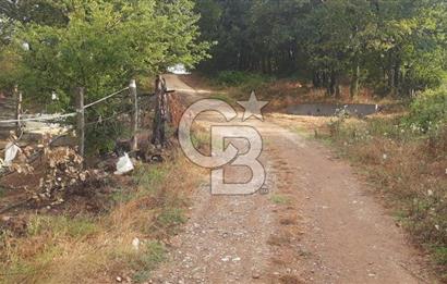 Çan Doğaca Satılık Bahçe