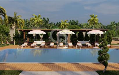 Eko Turizm Ruhsatlı Ticari Otel Konsepti Yatırım Projesi