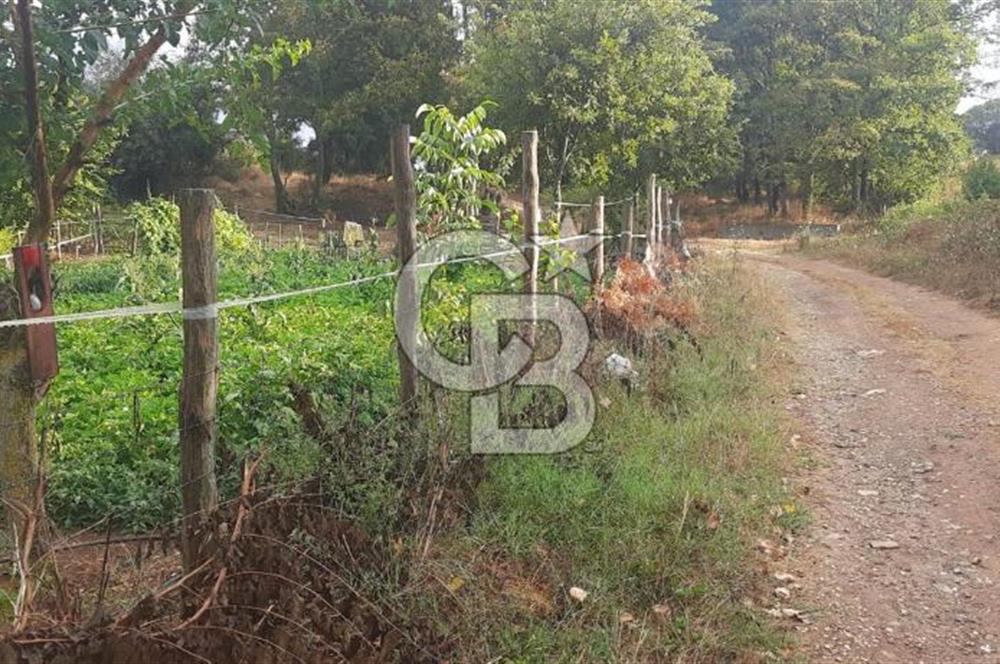 Çan Doğaca Satılık Bahçe