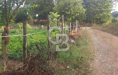 Çan Doğaca Satılık Bahçe