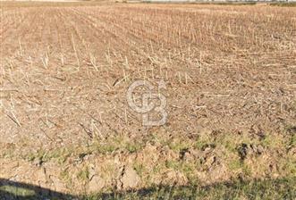 Edirne Uzunköprü Kurtbeyde 6.222 m² Değer Odaklı Yatırım  - 1 - 341182