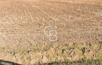 Edirne Uzunköprü Kurtbeyde 6.222 m² Değer Odaklı Yatırım 