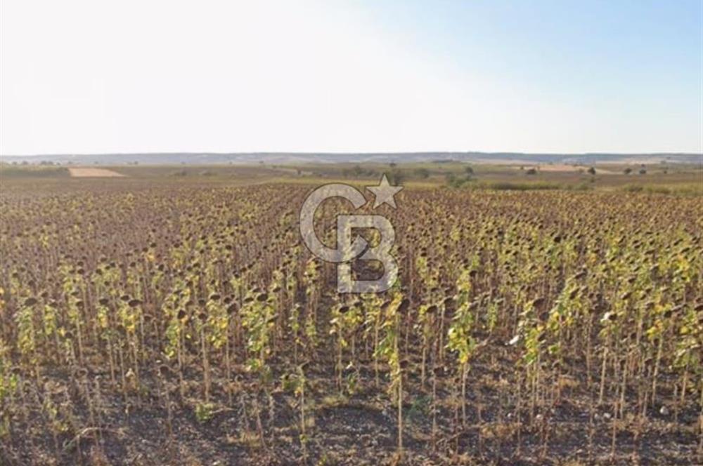 Edirne Uzunköprü Kurtbeyde 6.222 m² Değer Odaklı Yatırım 