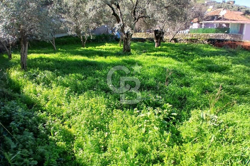 Tire Duatepe'de Son Fırsat 3 Kat İmarlı Satılık Köşe Parsel