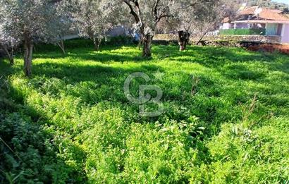 Tire Duatepe'de Son Fırsat 3 Kat İmarlı Satılık Köşe Parsel