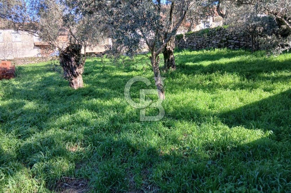 Tire Duatepe'de Son Fırsat 3 Kat İmarlı Satılık Köşe Parsel