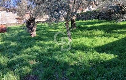 Tire Duatepe'de Son Fırsat 3 Kat İmarlı Satılık Köşe Parsel