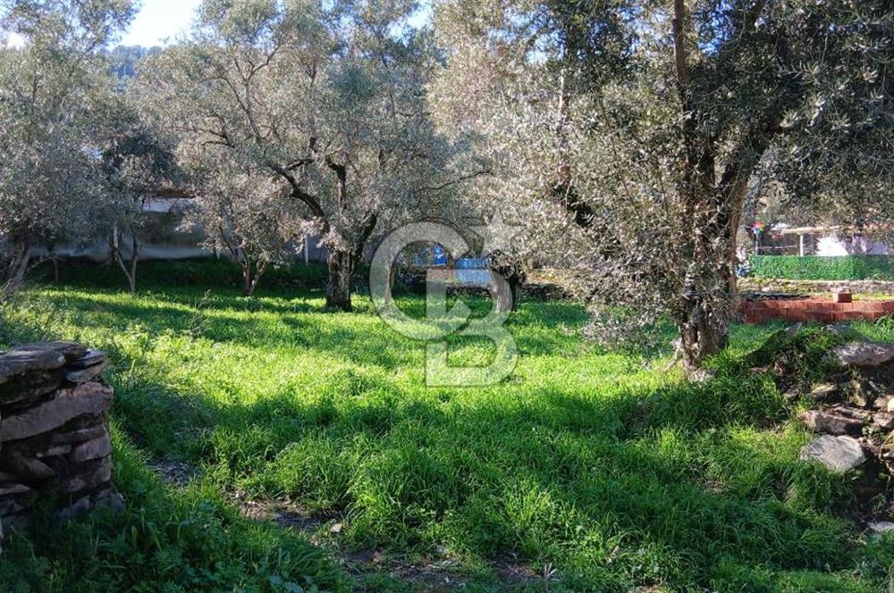 Tire Duatepe'de Son Fırsat 3 Kat İmarlı Satılık Köşe Parsel