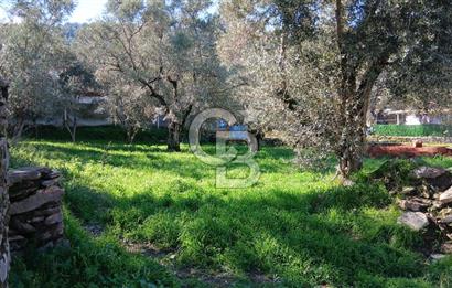 Tire Duatepe'de Son Fırsat 3 Kat İmarlı Satılık Köşe Parsel