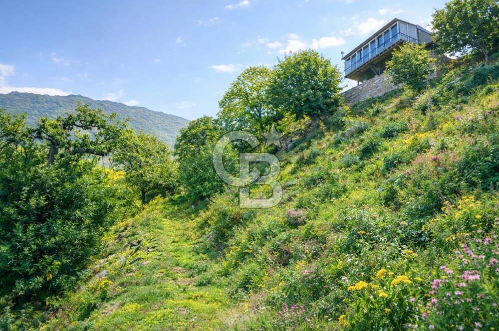 Kaplan-Çukurköy Hattında Arsa Fiyatına Hazır Ev