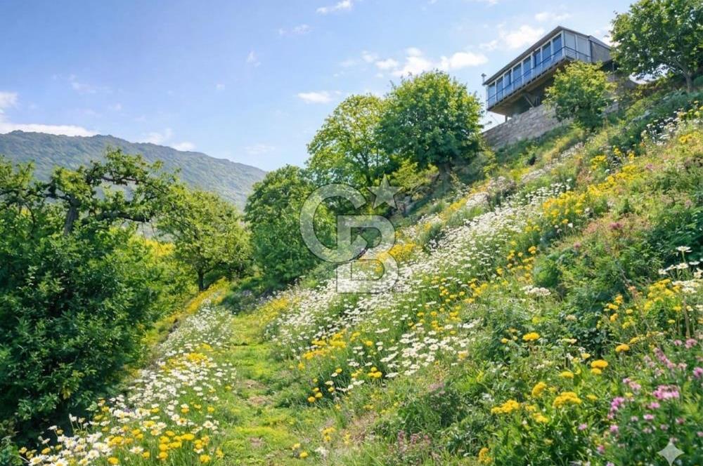 Kaplan-Çukurköy Hattında Arsa Fiyatına Hazır Ev