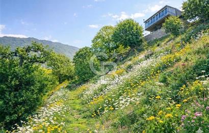 Kaplan-Çukurköy Hattında Arsa Fiyatına Hazır Ev