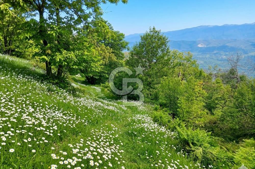 Kaplan-Çukurköy Hattında Arsa Fiyatına Hazır Ev