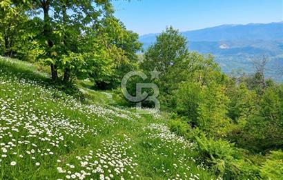 Kaplan-Çukurköy Hattında Arsa Fiyatına Hazır Ev