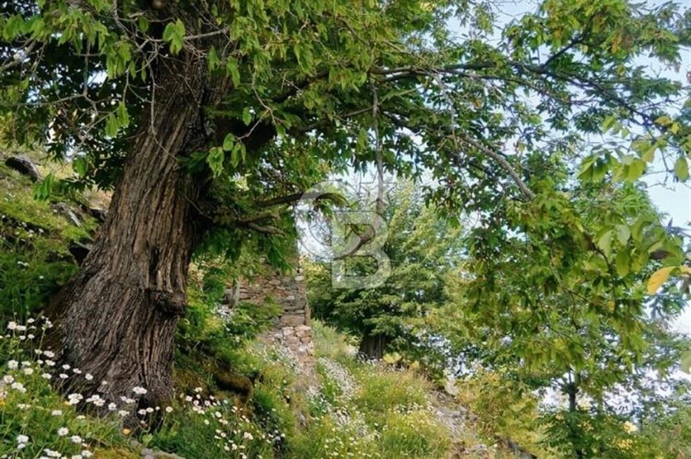 Kaplan-Çukurköy Hattında Arsa Fiyatına Hazır Ev