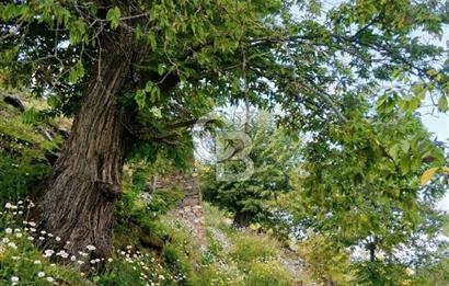 Kaplan-Çukurköy Hattında Arsa Fiyatına Hazır Ev