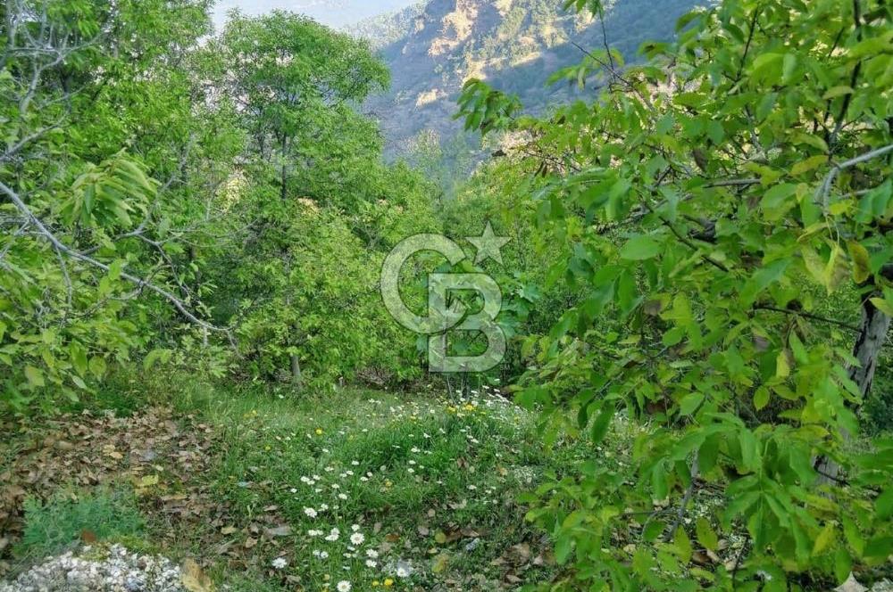 Kaplan-Çukurköy Hattında Arsa Fiyatına Hazır Ev