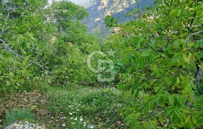 Kaplan-Çukurköy Hattında Arsa Fiyatına Hazır Ev