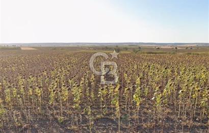 Kurtbeyde Değerli Tarla Payı