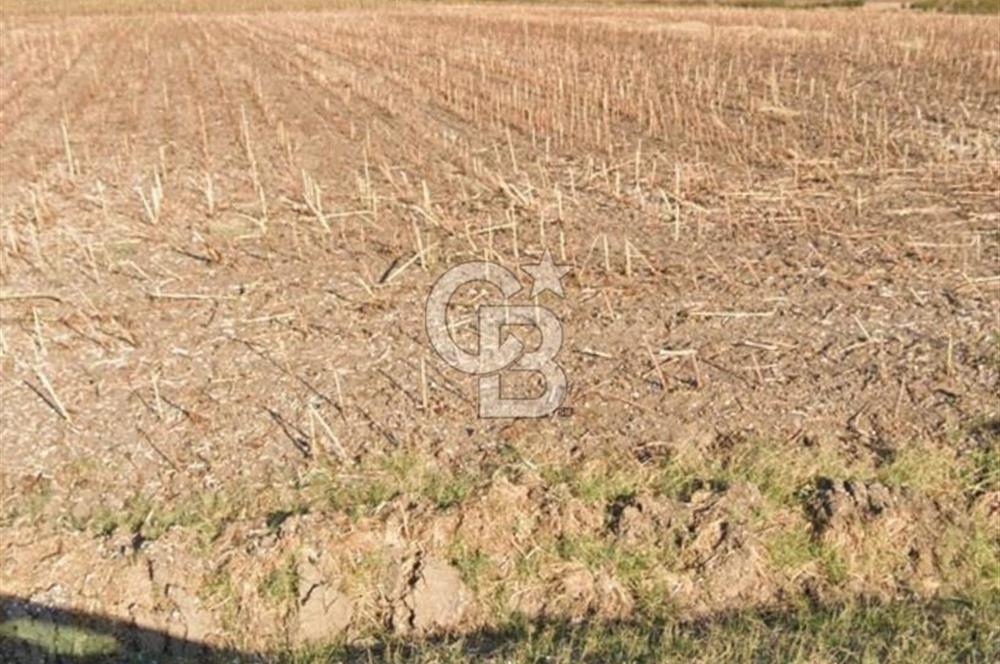 Kurtbeyde Değerli Tarla Payı