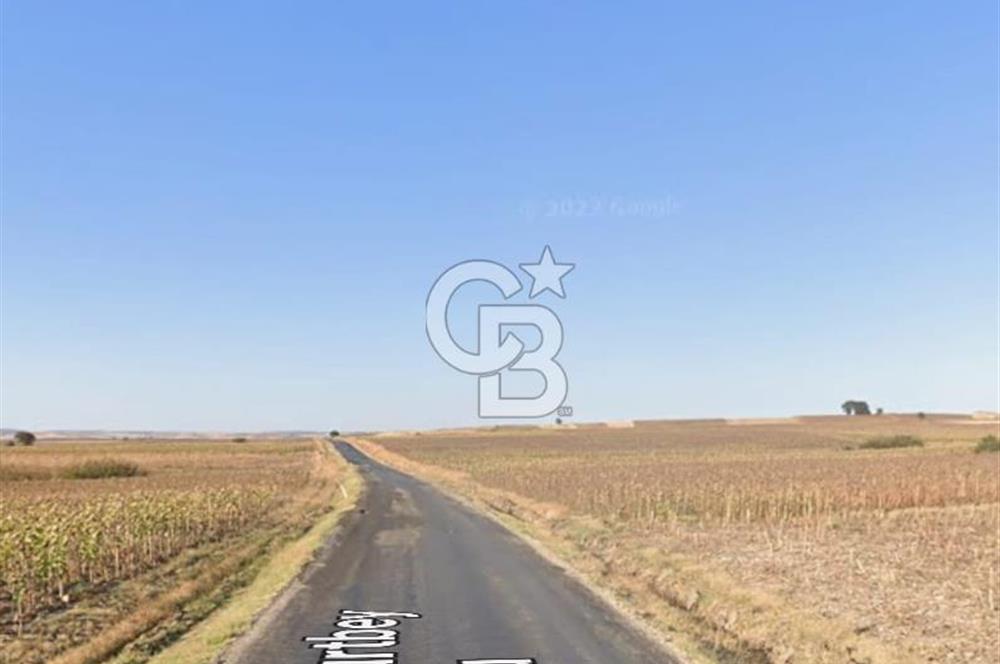 Kurtbeyde Değerli Tarla Payı